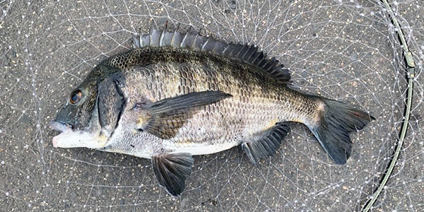 2020.08.05_higashihama_blog_3