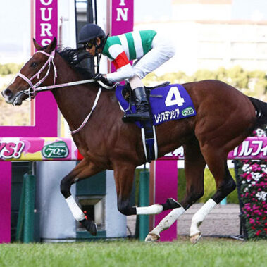 2020.08.06_shinden_blog_1