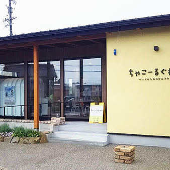 2020.08.08_rinku_blog_11