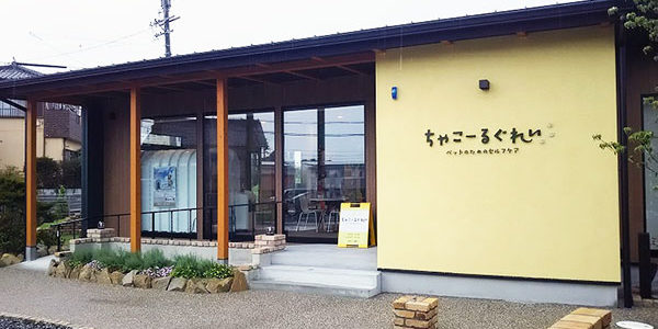 2020.08.08_rinku_blog_11