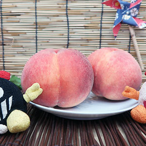 2020.08.15_honten_blog_0