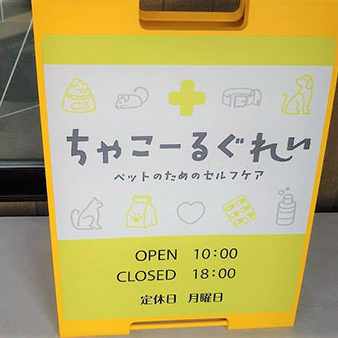 2020.08.22_rinku_blog_12