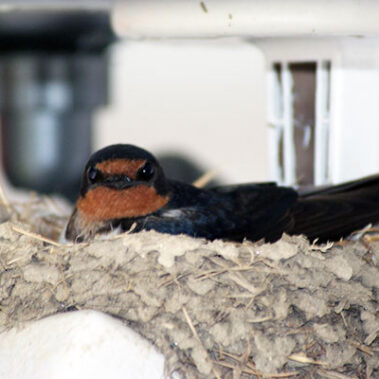 2020.08.23_kuchida_blog_1