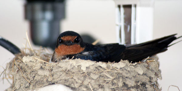 2020.08.23_kuchida_blog_1