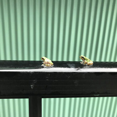 2020.09.02_kinuura_blog_0