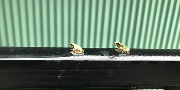 2020.09.02_kinuura_blog_0