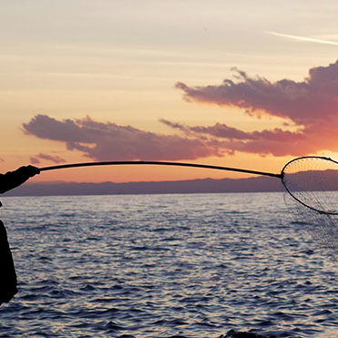 2020.09.13_kyowa_blog_8