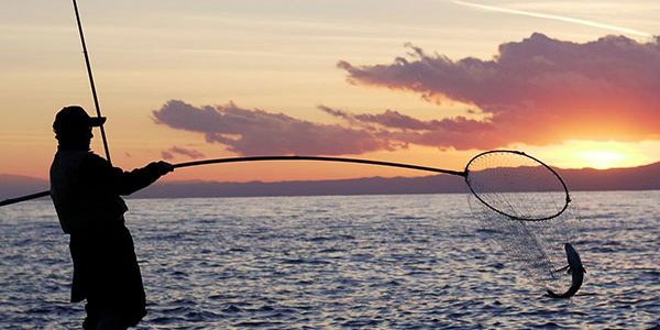 2020.09.13_kyowa_blog_8