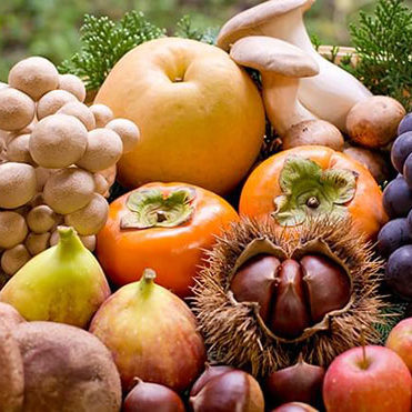 2020.09.28_ano_blog_1