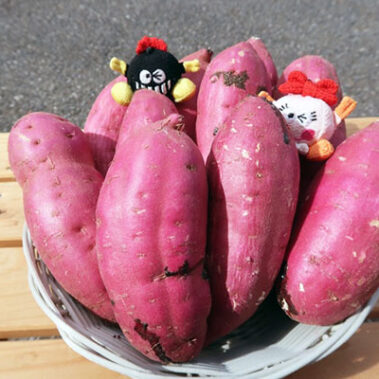 2020.10.01_honten_blog_0