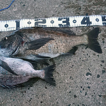 2020.10.05_higashihama_blog_1