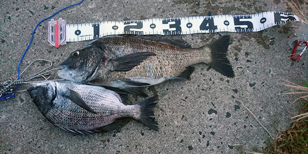 2020.10.05_higashihama_blog_1