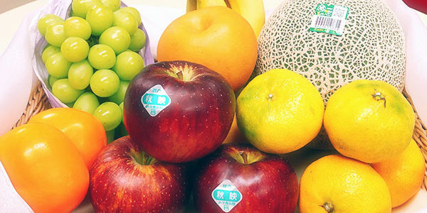 2020.10.27_kyowa_blog_2