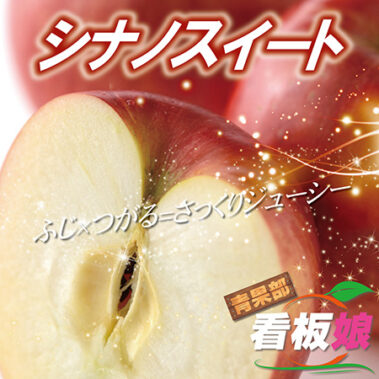 2020.10.31_honbu_blog_0