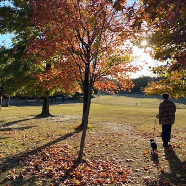 2020.01.17_sumiyoshi_blog_6