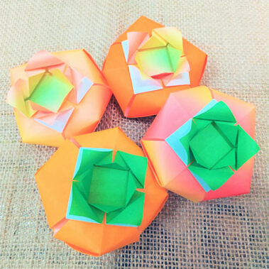 2020.11.07_sunagawa_blog_15