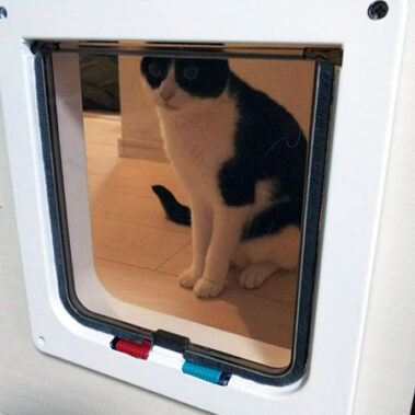 2020.11.08_rinku_blog_12