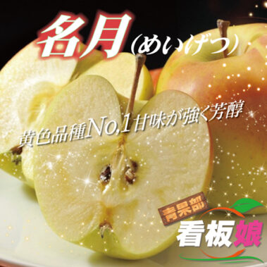 2020.11.25_honbu_blog_0