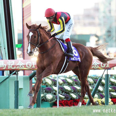 2020.12.06_shinden_blog_7