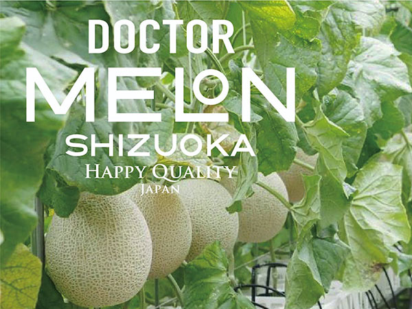 有楽青果部看板娘おすすめ果物💜カリウムが通常の半分！静岡県産ドクターメロン編