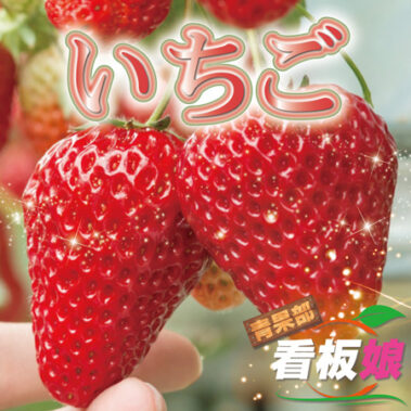 2021.01.16_honbu_blog_0