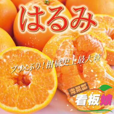 2021.02.16_honbu_blog_0-2