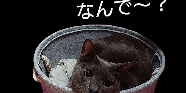 2021.02.26_ekimae_blog_1