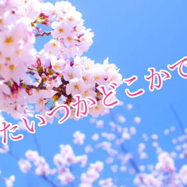 2021.03.13_kyowa_blog_0