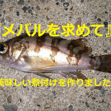 2021.04.02_kinuura_blog_00