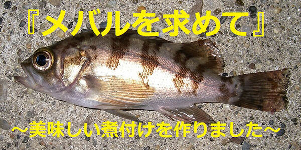 2021.04.02_kinuura_blog_00