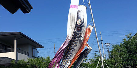 2021.04.13_kyowa_blog_1