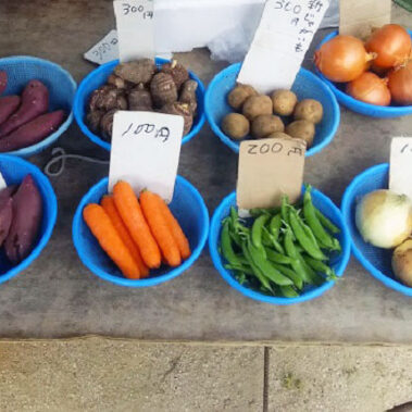 2021.05.16_kinuura_blog_0