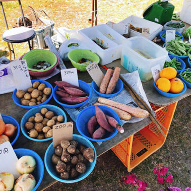 2021.05.19_higashihama_blog_5