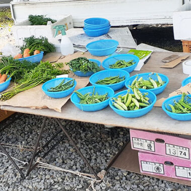 2021.05.22_rinku_blog_8