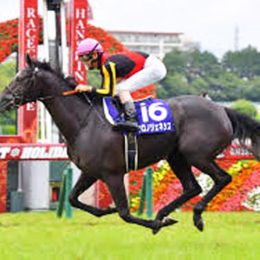 2021.06.28_ano_blog_2