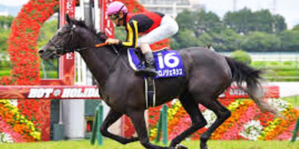 2021.06.28_ano_blog_2