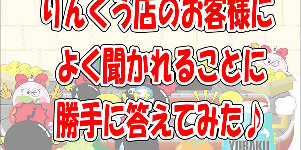 2021.08.08_rinku_blog_13