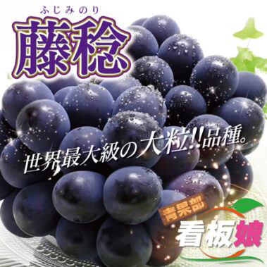 2021.08.11_honbu_blog_0