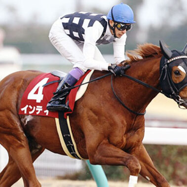 2021.09.14_ano_blog_8