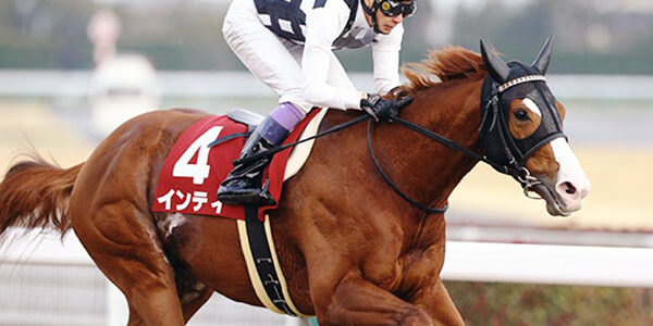 2021.09.14_ano_blog_8