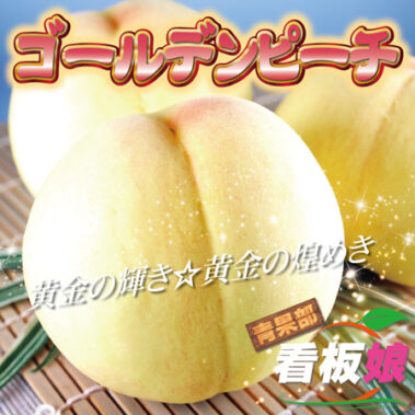 2021.09.15_honbu_blog_0