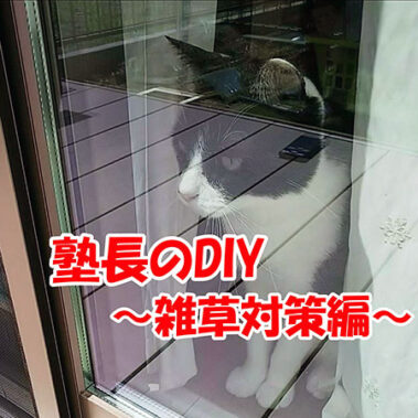 2021.09.22_rinku_blog_20