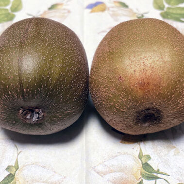 2021.11.16_kinuura_blog_1