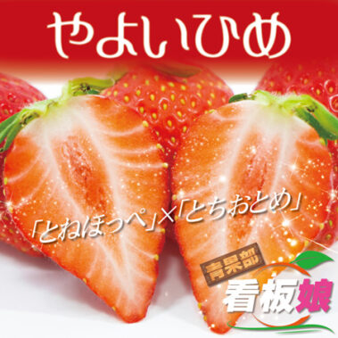 2022.01.31_honbu_blog_0