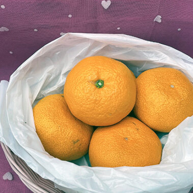 2022.02.01_honten_blog_0