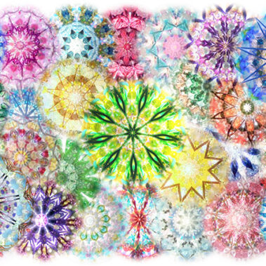 2022.02.03_sumiyoshi_blog_0