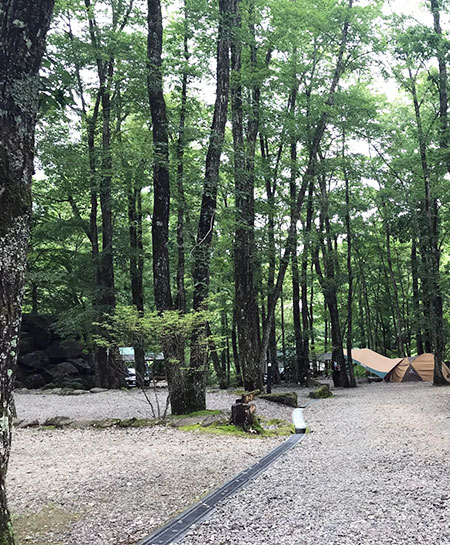 俺流キャンプ！～愛知県内にも最高なキャンプ場あります。～