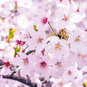 2022.02.18_daito_blog_0