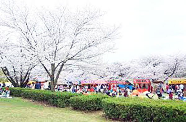 刈谷市の桜祭り『洲原公園』