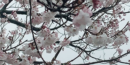 2022.04.09_kuchida_blog_1